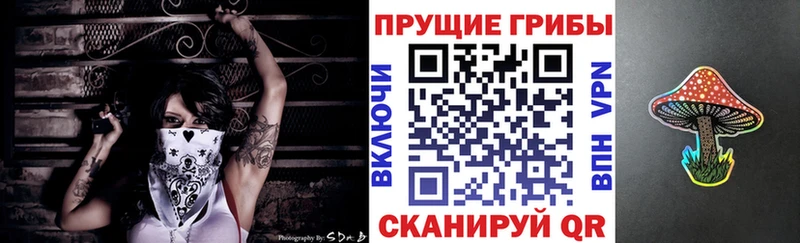 Галлюциногенные грибы Psilocybine cubensis  Купить закладки  Приозерск 